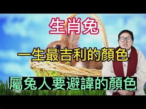 屬兔幸運顏色|兔年穿這色最旺運